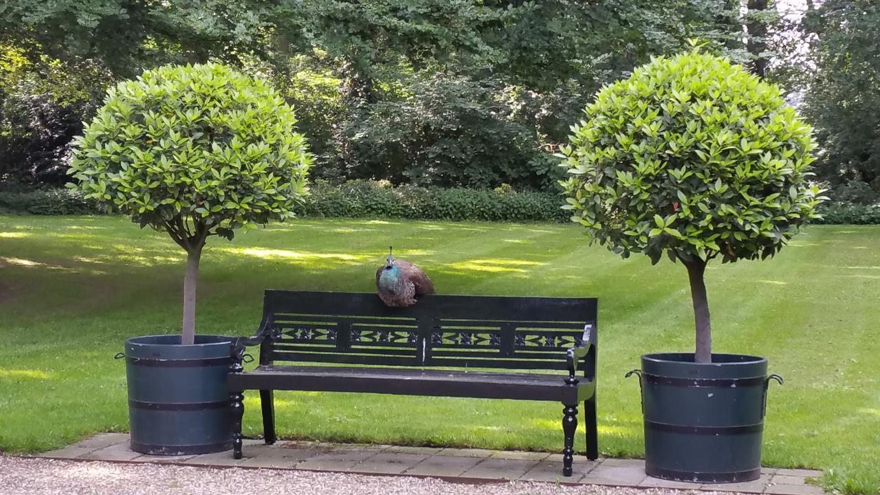 B&B En Spa Landgoed Matanze Terwolde Zewnętrze zdjęcie